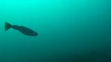 2011-06-15 16-58-55 UK_25